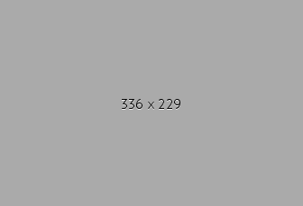 336x229