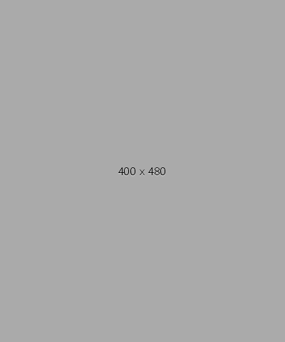400x480