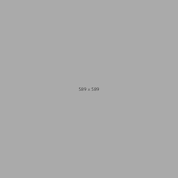 589x589